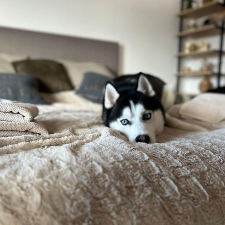 Apartman Freya Liptovský Mikuláš Eksteriør billede